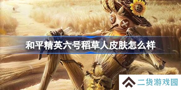 和平精英六号稻草人怎么样-和平精英六号稻草人皮肤价格