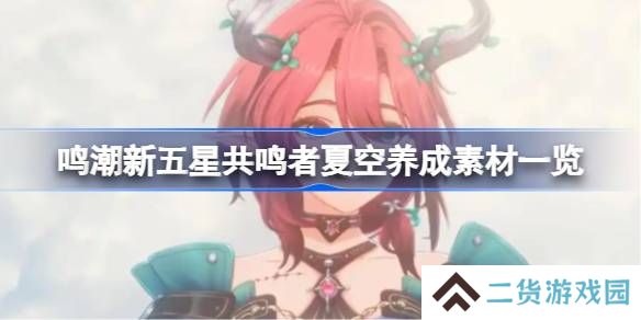 鸣潮新五星共鸣者夏空养成素材一览-鸣潮新五星共鸣者夏空养成素材有哪些