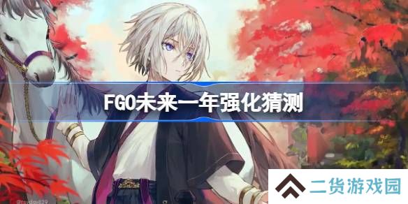 FGO未来一年该怎么选择强化-FGO未来一年强化猜测