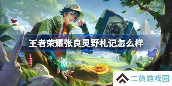 王者荣耀张良灵野札记么样 王者荣耀张良灵野札记皮肤特效一览