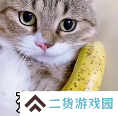 【大河怼策划】交易区真的要来啦! 【大河怼策划】交易区真的要来啦!