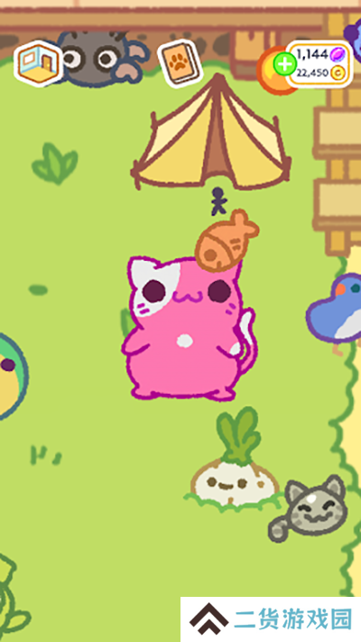 小偷猫2
