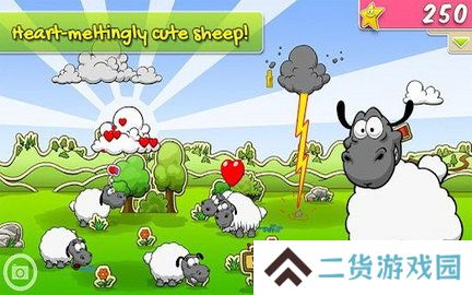 云和绵羊