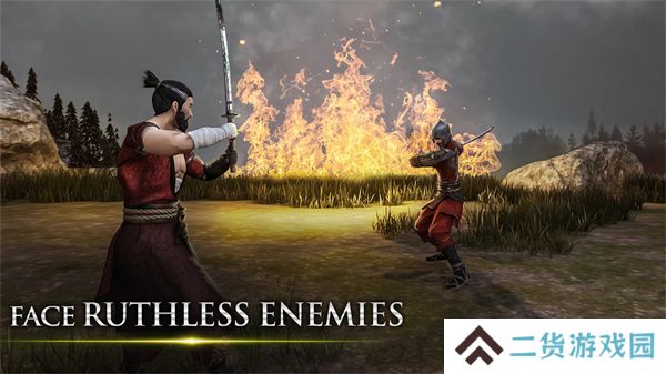 忍者武士隆