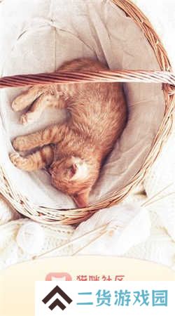 猫咪社区gps