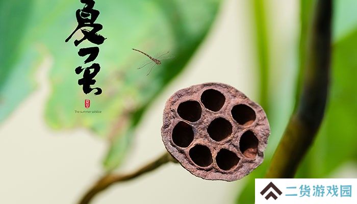 夏至是什么意思 夏至节气的含义是什么