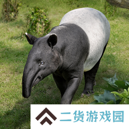 野兽领主新世界异兽图鉴