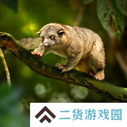 野兽领主新世界异兽图鉴