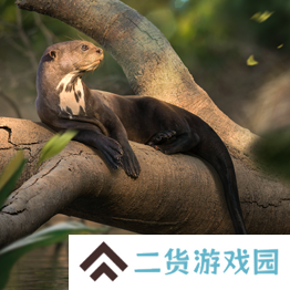 野兽领主新世界异兽图鉴