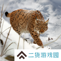 野兽领主新世界异兽图鉴