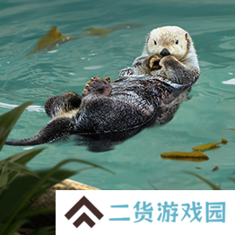 野兽领主新世界异兽图鉴