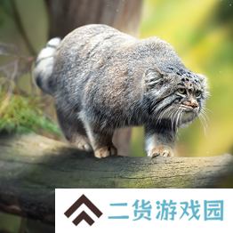 野兽领主新世界异兽图鉴