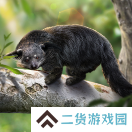 野兽领主新世界异兽图鉴