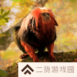 野兽领主新世界异兽图鉴