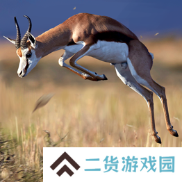 野兽领主新世界异兽图鉴