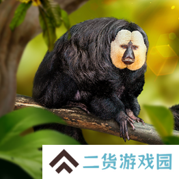 野兽领主新世界异兽图鉴