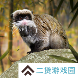 野兽领主新世界异兽图鉴