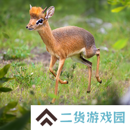 野兽领主新世界异兽图鉴