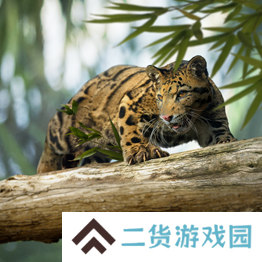 野兽领主新世界异兽图鉴