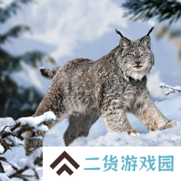 野兽领主新世界异兽图鉴