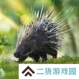 野兽领主新世界异兽图鉴