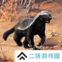野兽领主新世界异兽图鉴