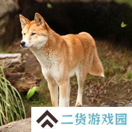 野兽领主新世界异兽图鉴