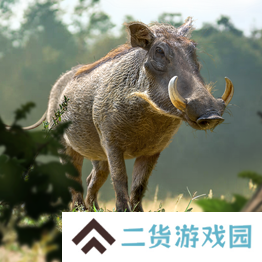 野兽领主新世界异兽图鉴
