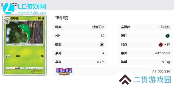宝可梦TCG Pocket卡牌图鉴