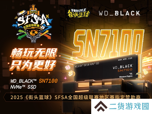 WD_BLACK助力《街头篮球》SFSA全国超级联赛