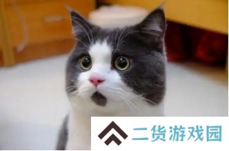 逆水寒2