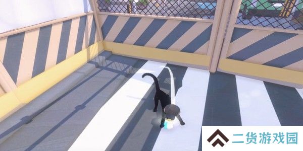 小猫咪大城市蝴蝶帽怎么收集