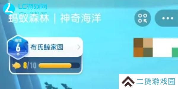 神奇海洋答案合集2024