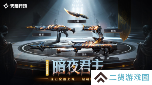 天启行动11