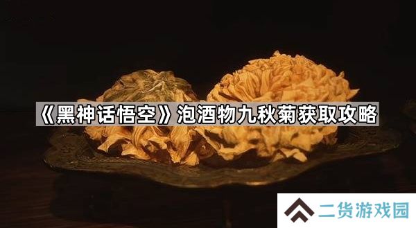黑神话悟空泡酒物九秋菊怎么获得-泡酒物九秋菊获取攻略