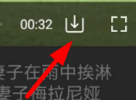 微博国际版纯净版怎么下载视频