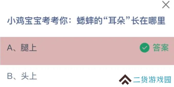 蚂蚁庄园今日答案8.31