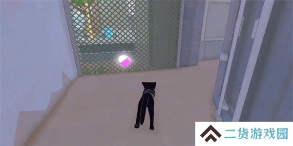 小猫咪大城市茄子帽怎么收集