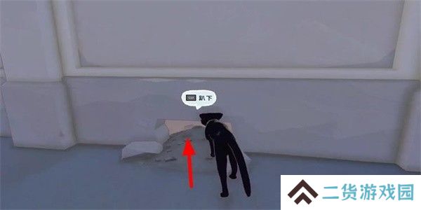 小猫咪大城市瓢虫帽怎么收集