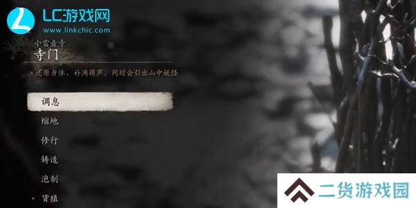 黑神话悟空雷音寺打坐位置在哪