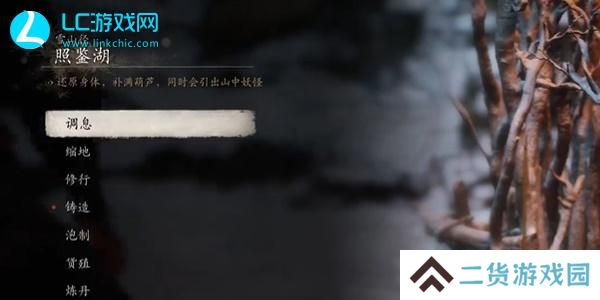 黑神话悟空照鉴湖打坐位置在哪