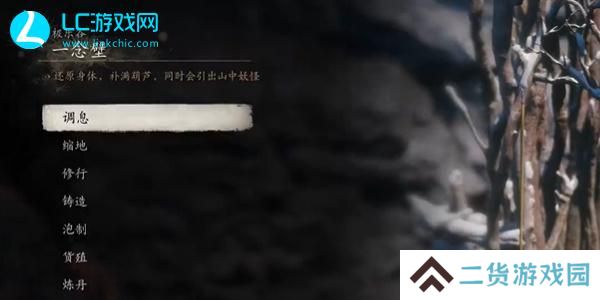 黑神话悟空一念壁打坐位置在哪
