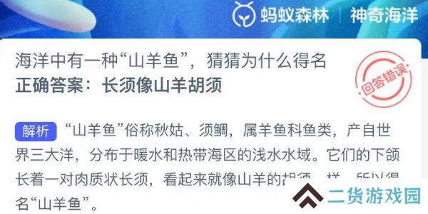 神奇海洋今日答案最新8.19