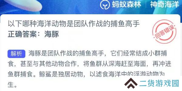 神奇海洋今日答案最新8.5