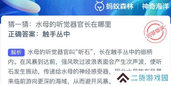神奇海洋今日答案最新8.6