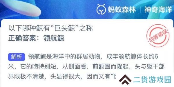神奇海洋今日答案最新7.30