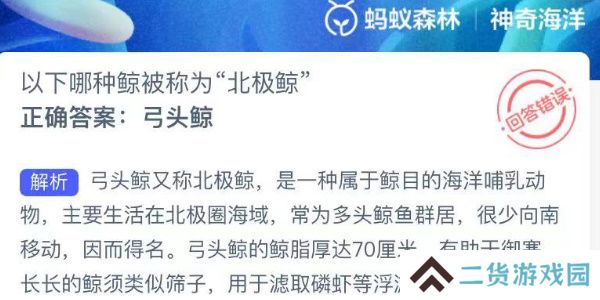 神奇海洋今日答案最新7.29