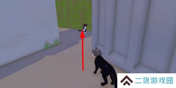 小猫咪大城市日常美容动作怎么获得