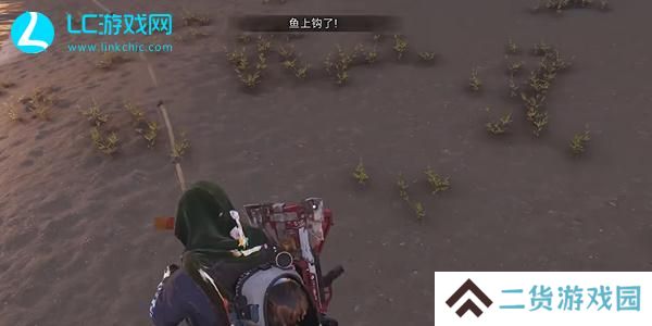 七日世界电鳗获得地点