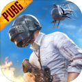 pubg地铁逃生刷钱软件悬浮窗版下载